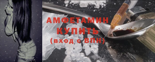 СК Ельня