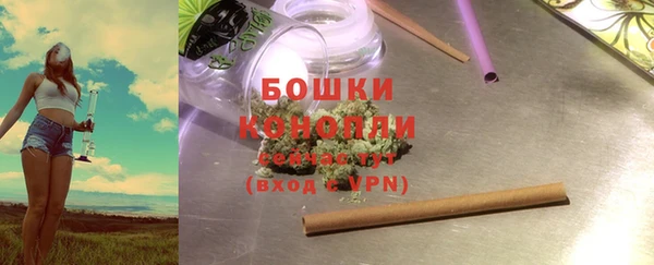 МДПВ Елизово