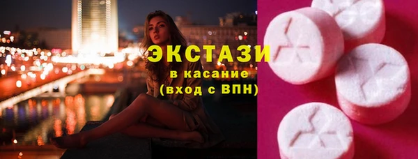 СК Ельня