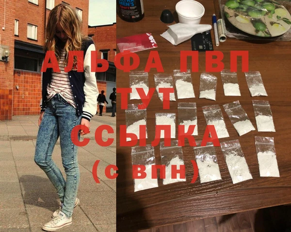 СК Ельня