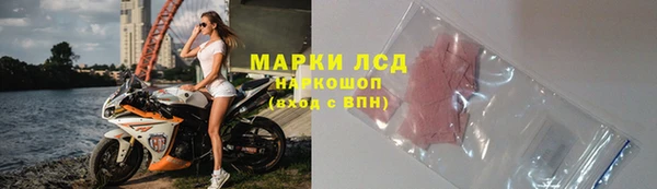 СК Ельня