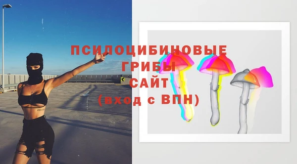 МДПВ Елизово