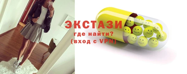СК Ельня