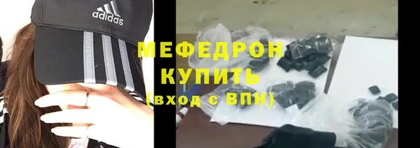 СК Ельня