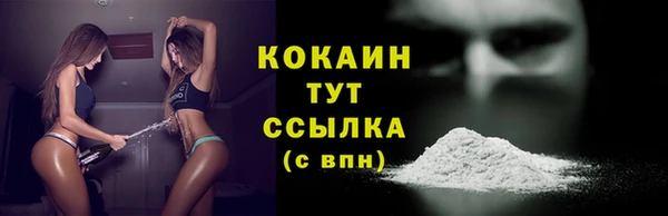 молекула духа Медвежьегорск