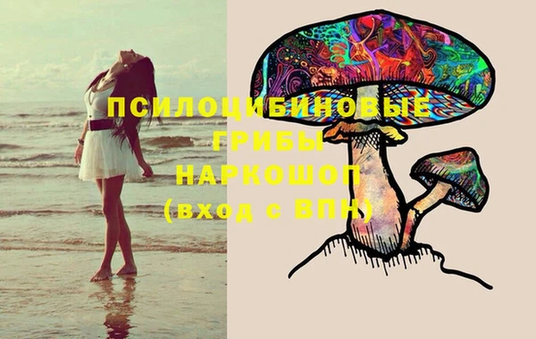 СК Ельня
