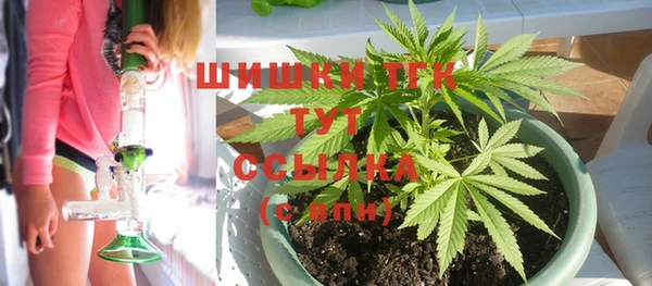 МДПВ Елизово