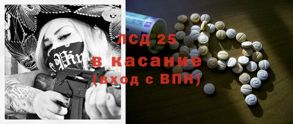 СК Ельня