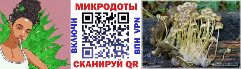 Галлюциногенные грибы прущие грибы  Купить закладки  Кинель 